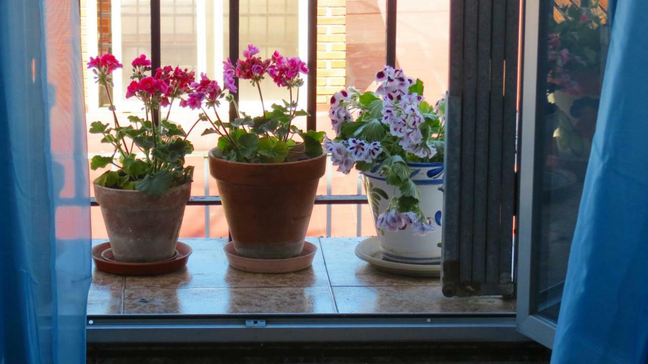 Ferienwohnung Patios De San Pedro Córdoba Exterior foto
